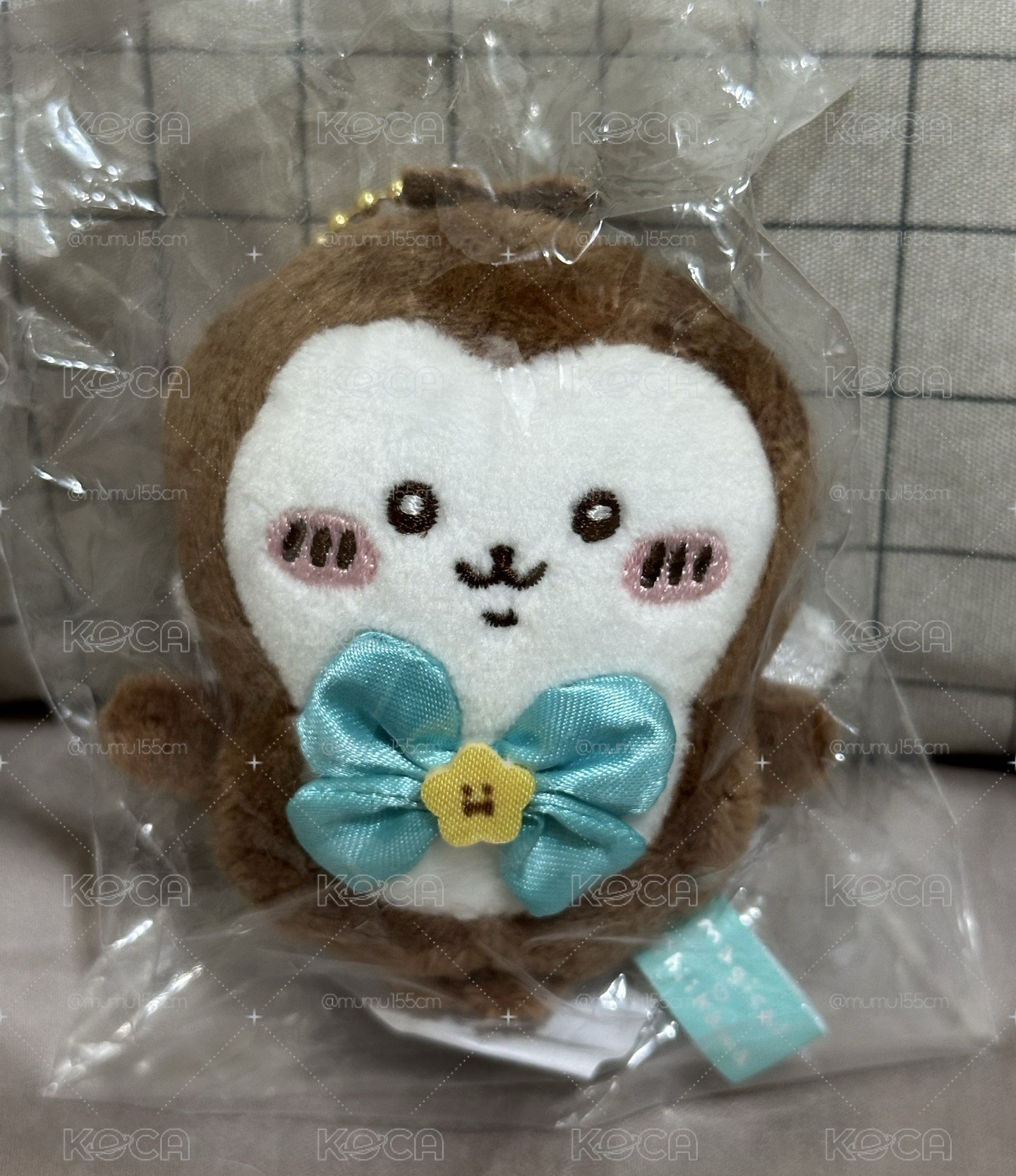 魔法小甲蟲✨