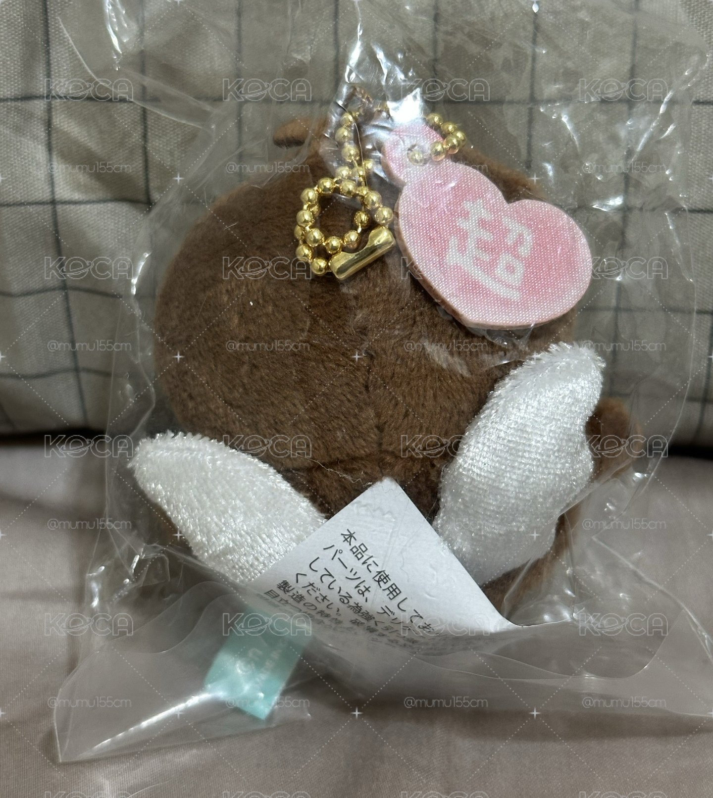 魔法小甲蟲✨