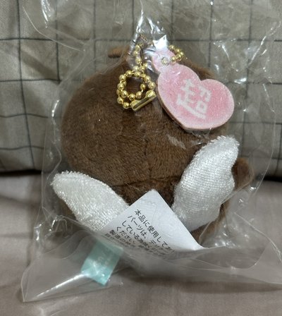 魔法小甲蟲✨