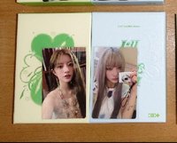 綠版慜+彩羽