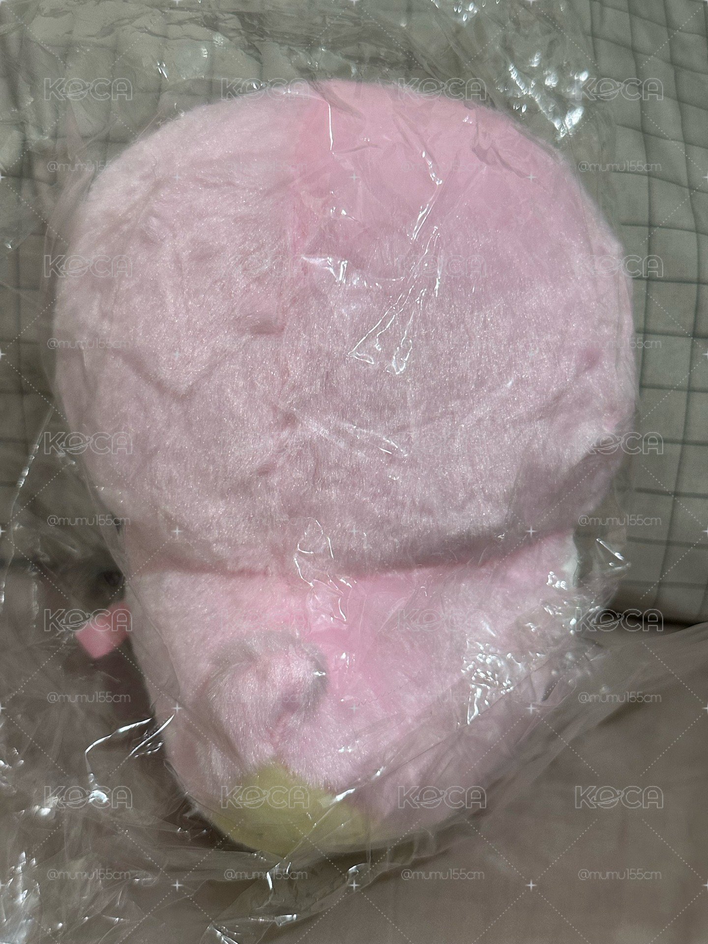 蛇年吉伊🐍