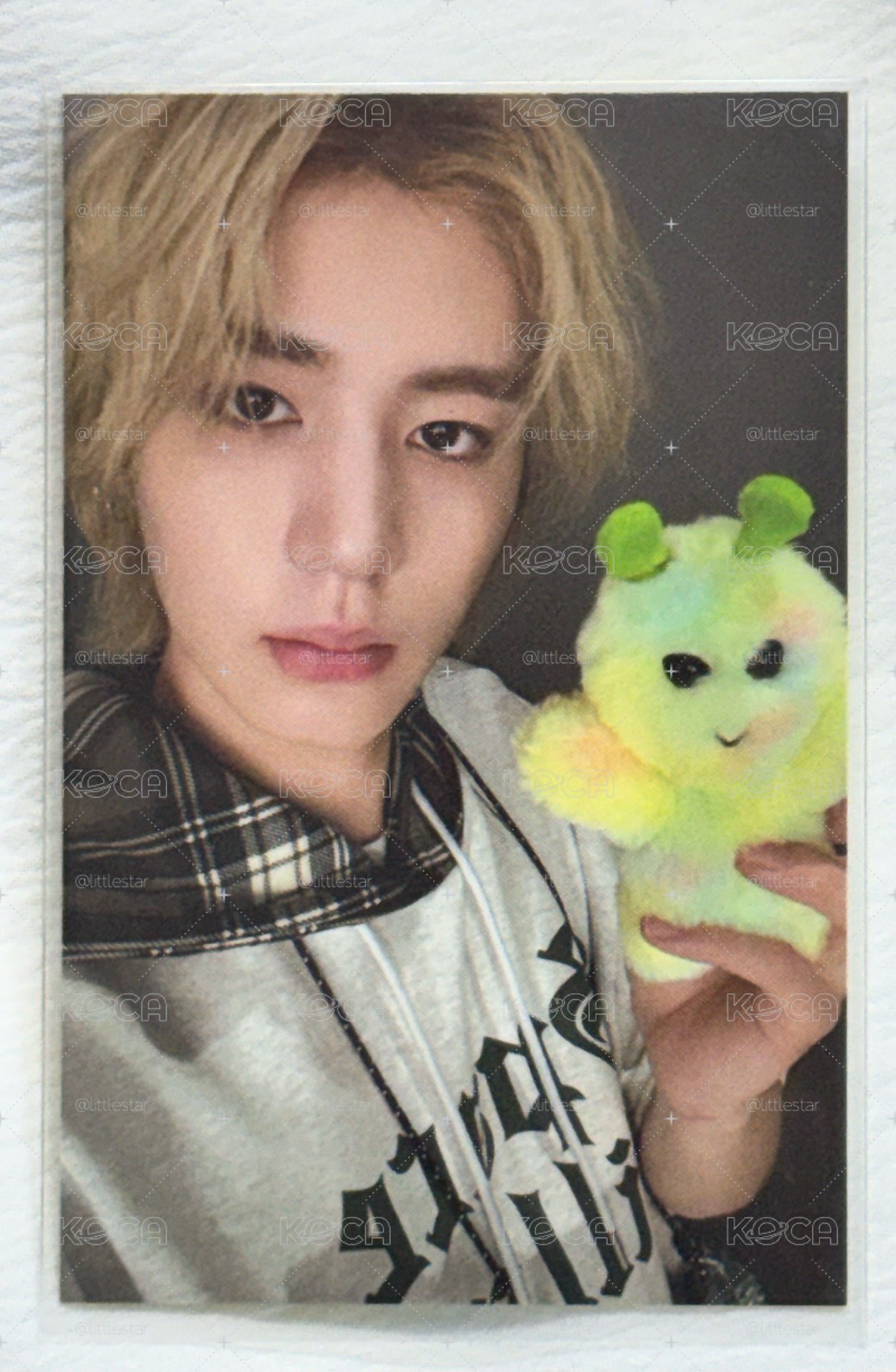 boynextdoor leehan 娃娃卡