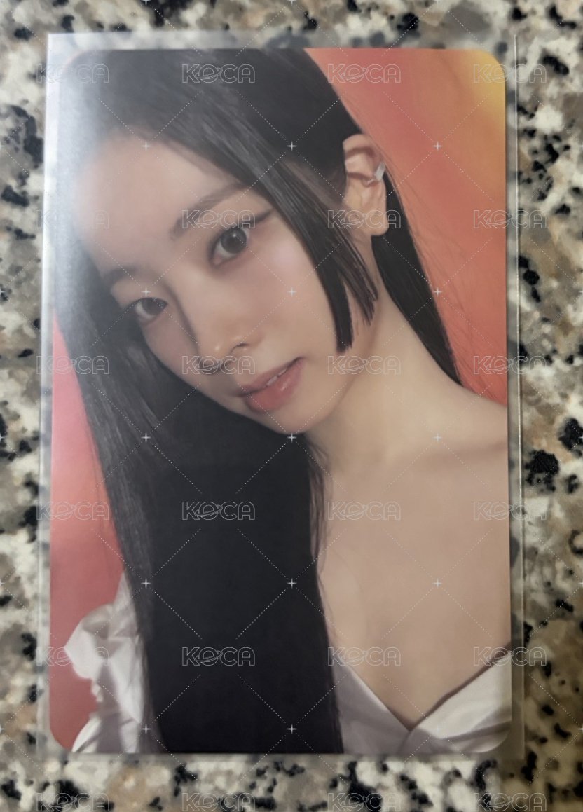 迷13 專卡（多賢）*