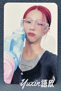 薇娟