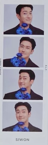 Weverse會員禮 人生四格卡 