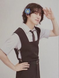 Weverse會員禮 明信片 