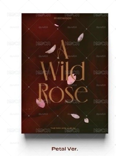 SJ 厲旭  A wild rose 專輯