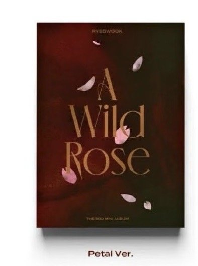 SJ 厲旭  A wild rose 專輯