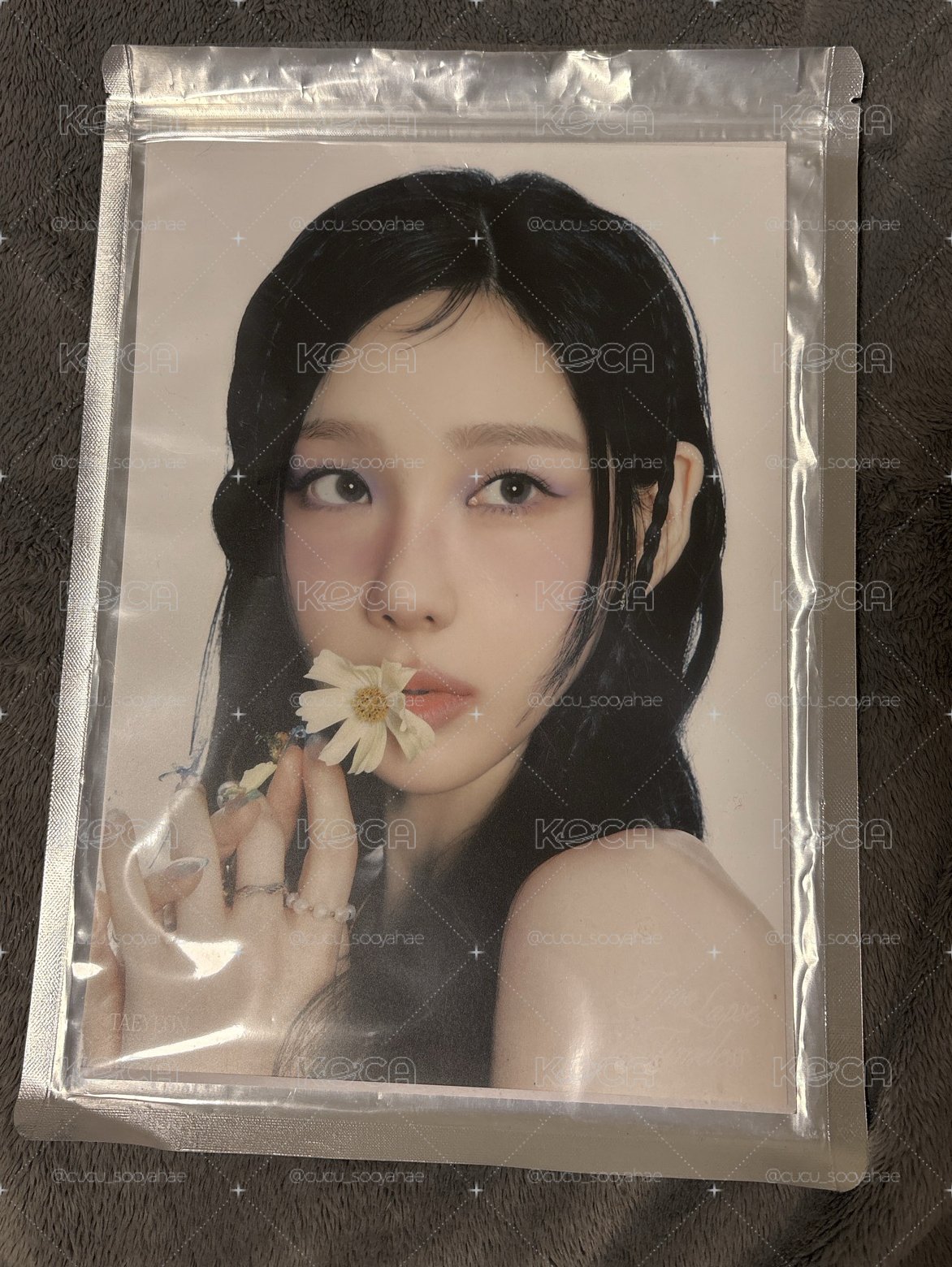 太妍 10週年展覽海報A4