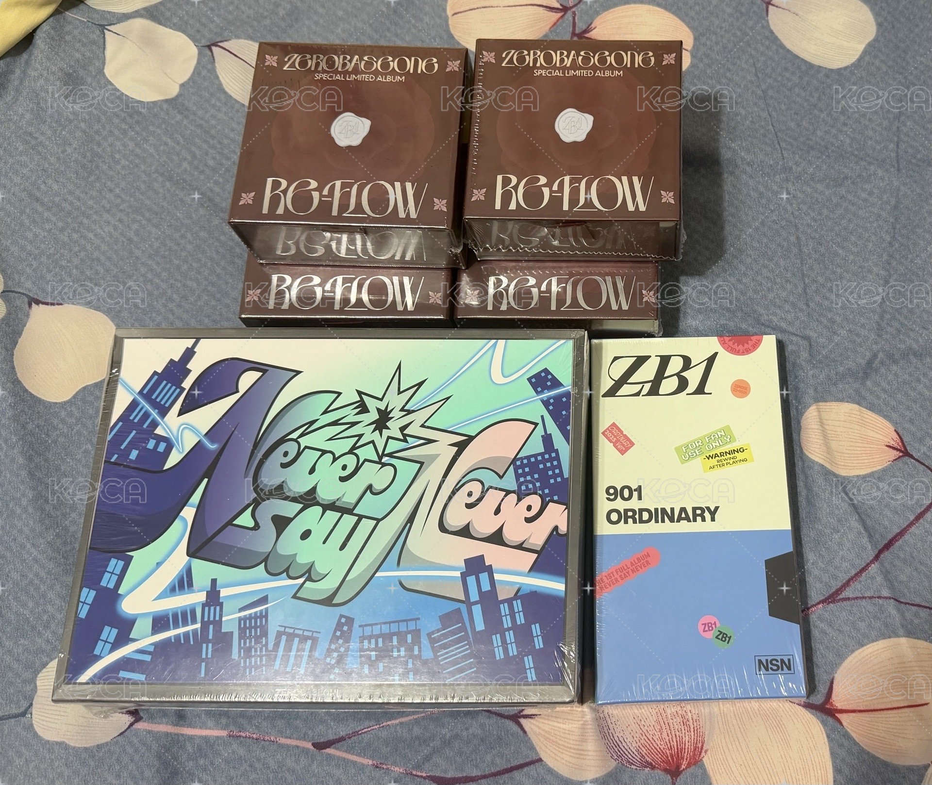 正規一（大+小（全新