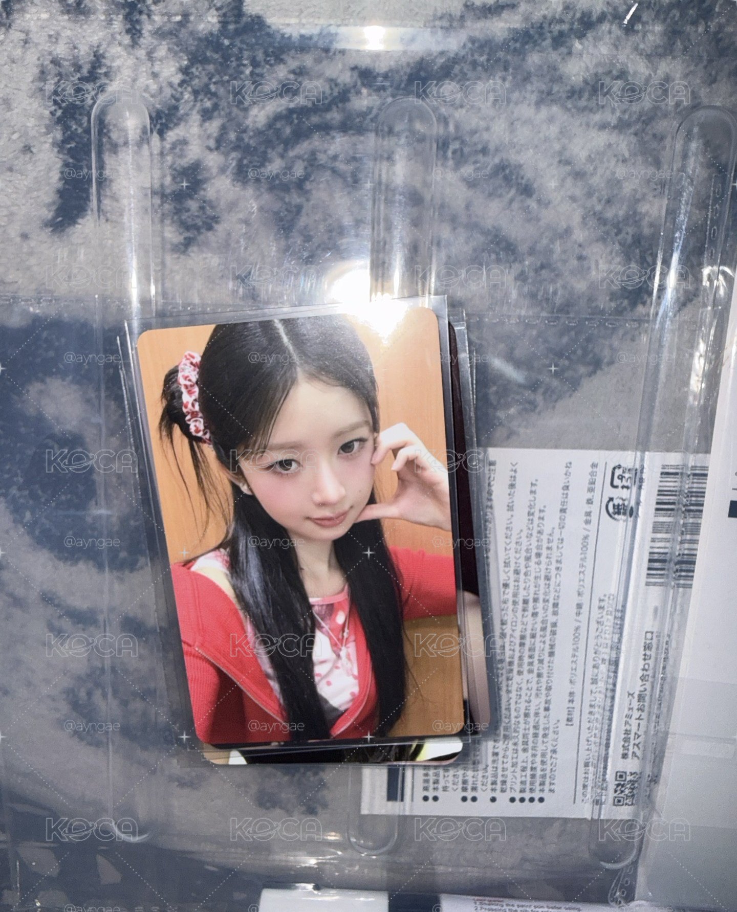 大阪韓專怜