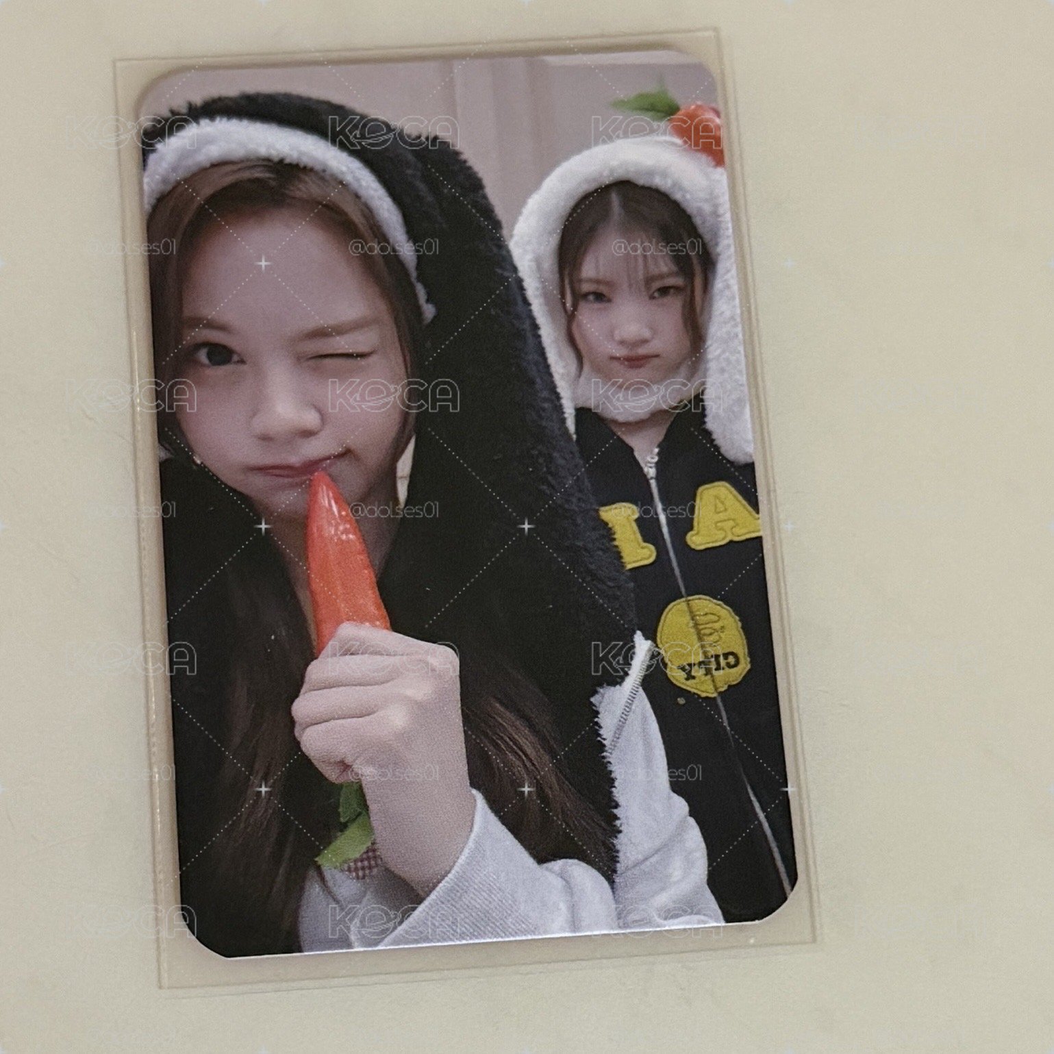 可愛兔子吃蘿蔔🥕