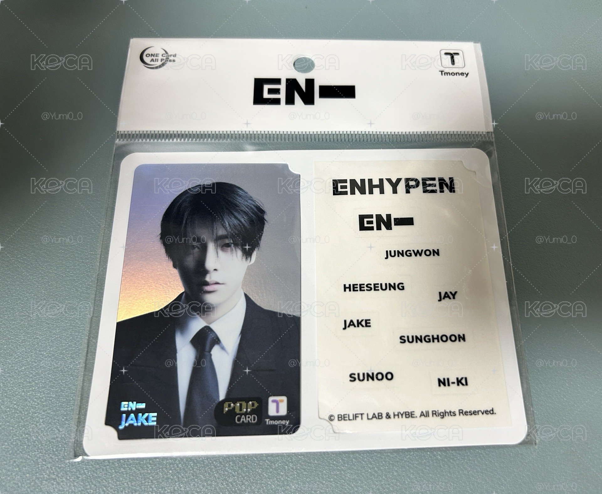 Enhypen T-Money卡 倫/力
