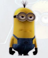Tim