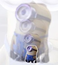 Kevin