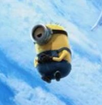 Bob
