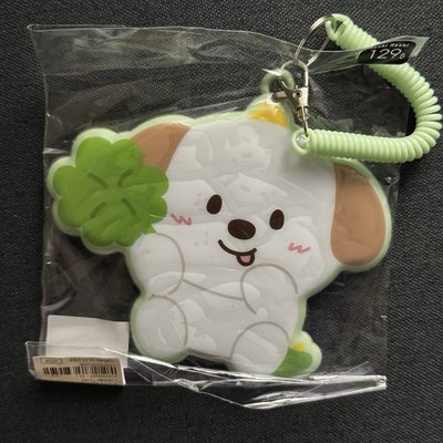 RIIZE燦榮吊牌 小盤