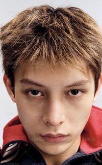 凡