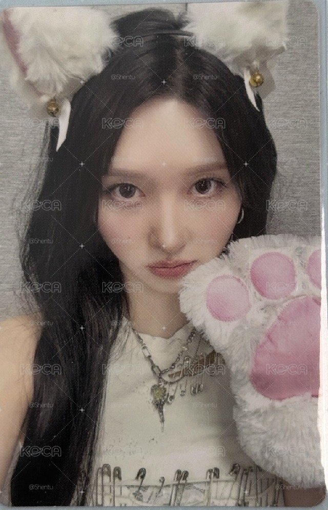 貓抓秋