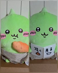 兩隻一起帶
