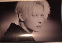迷七 明信片 黑版 Forbidden
