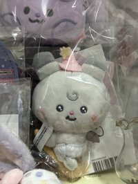 長得還算周正的掃帚松花
