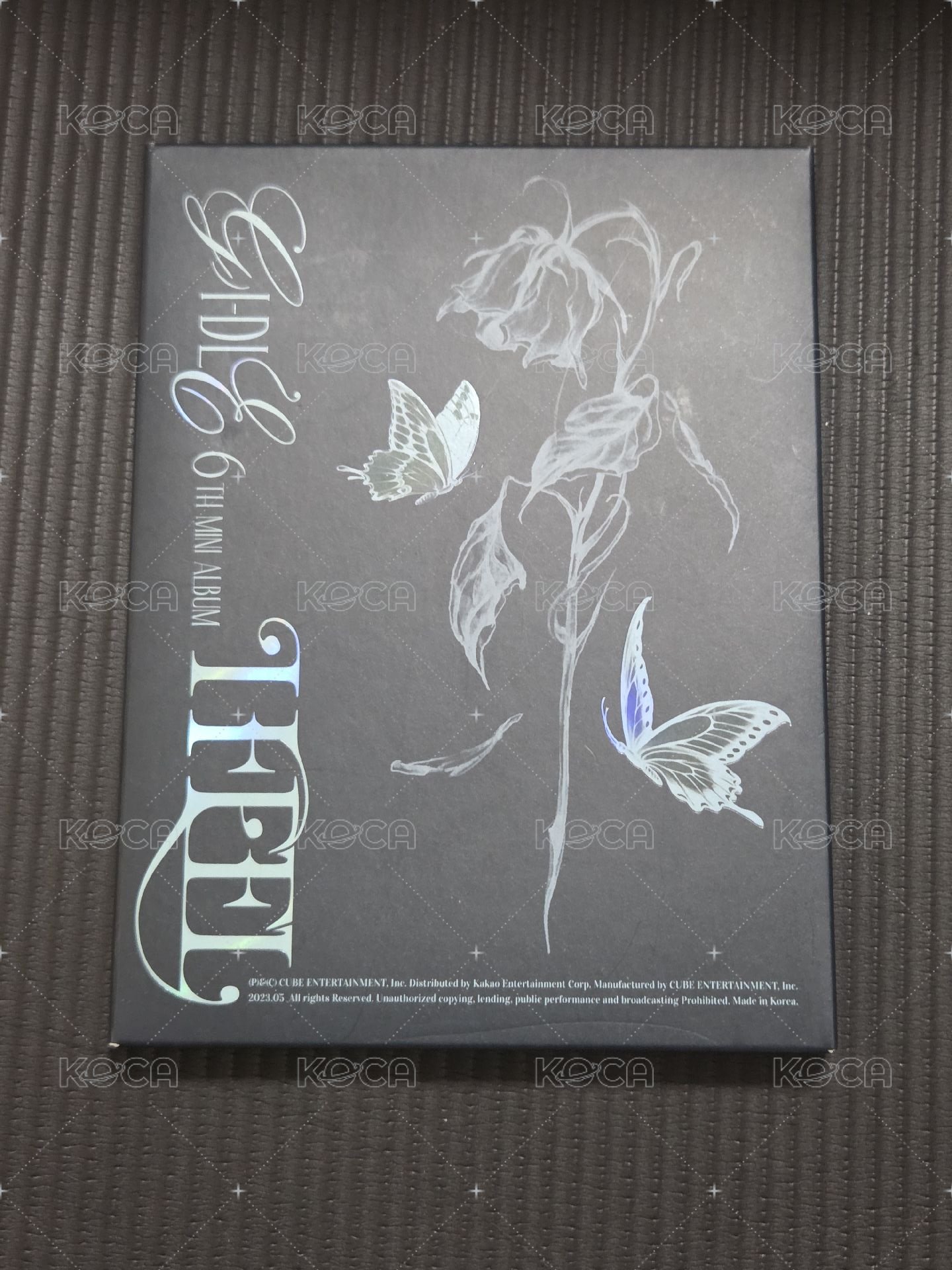蝴蝶（殼小損，壓痕較淺）