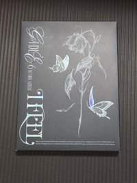蝴蝶（殼小損，壓痕較淺）