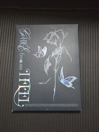 蝴蝶（殼損，壓痕較深）