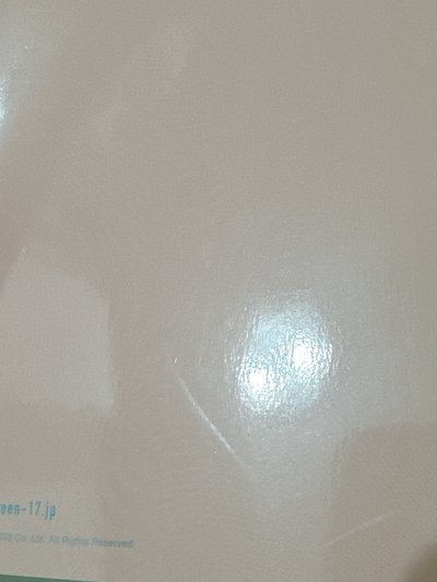 【Seventeen】日本會員雜誌 vol.11