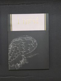 黑