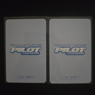 Stray Kids 3rd FM PILOT滿額卡🐶昇玟