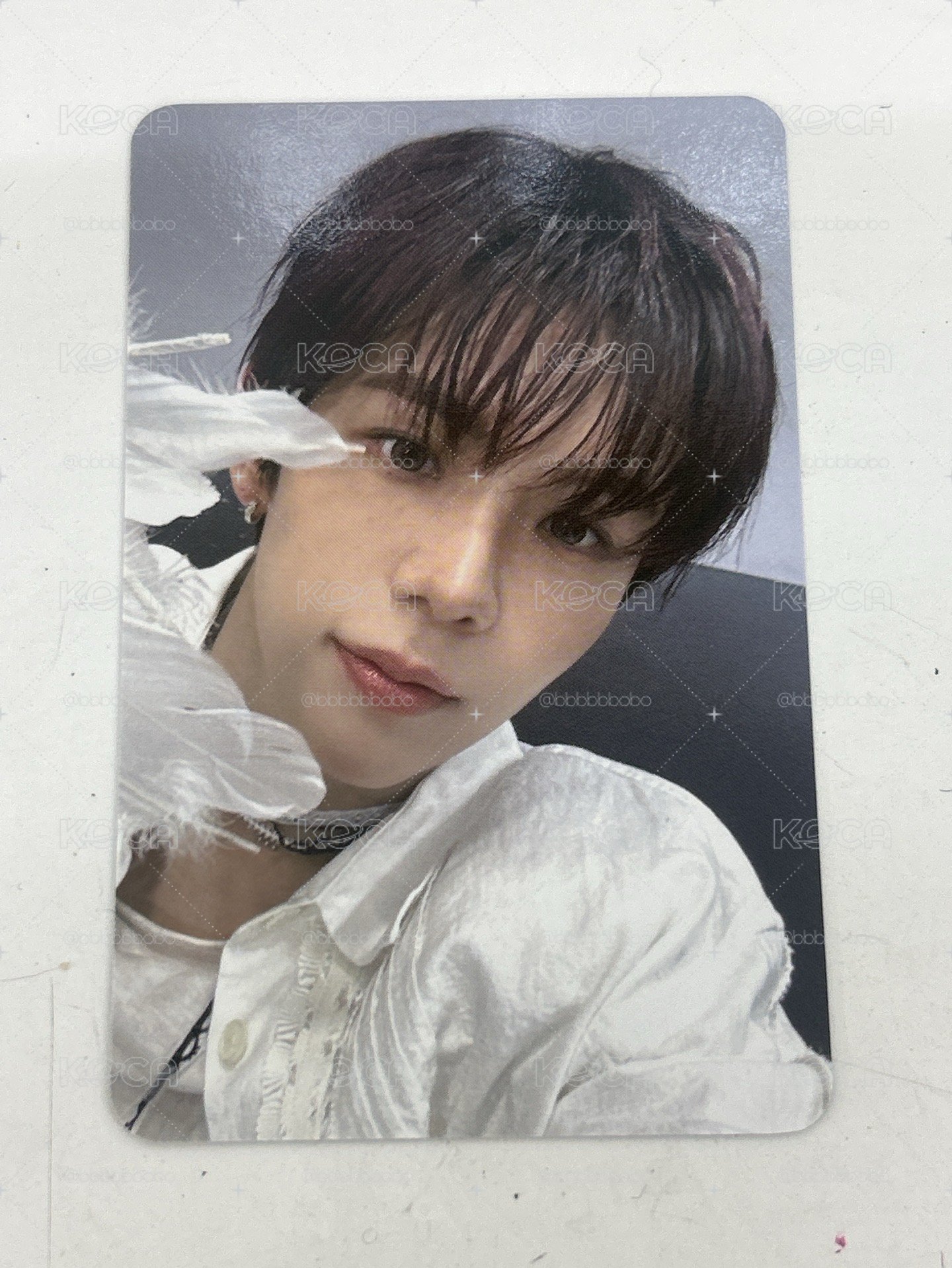 RIIZE FAME K4幸運卡