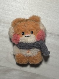 冬季娃