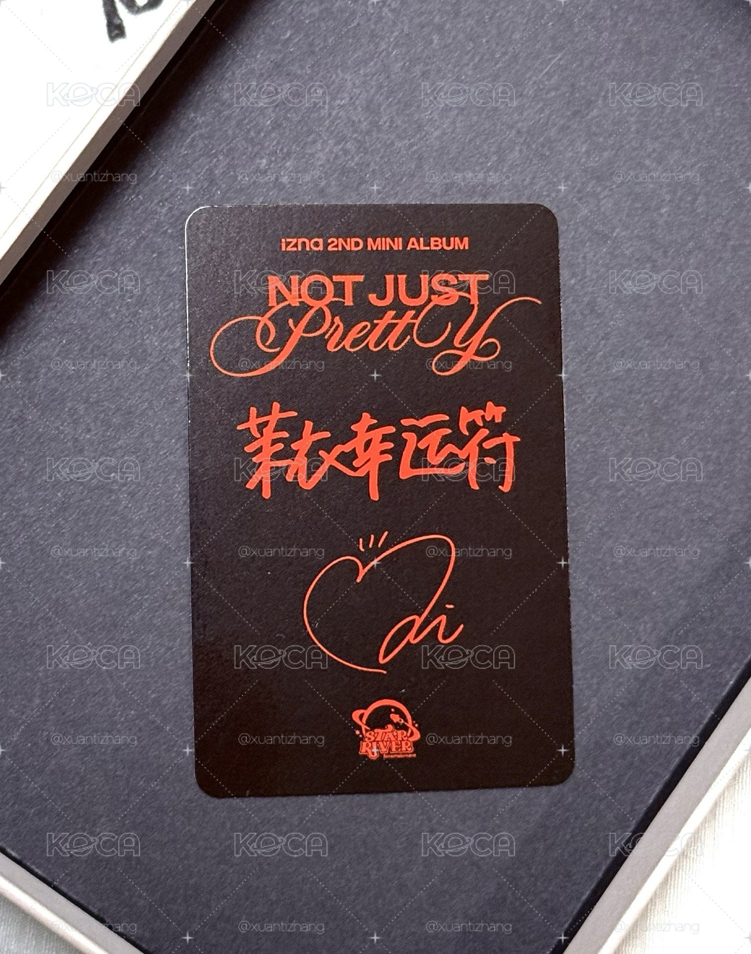 星河預售 中背特典
