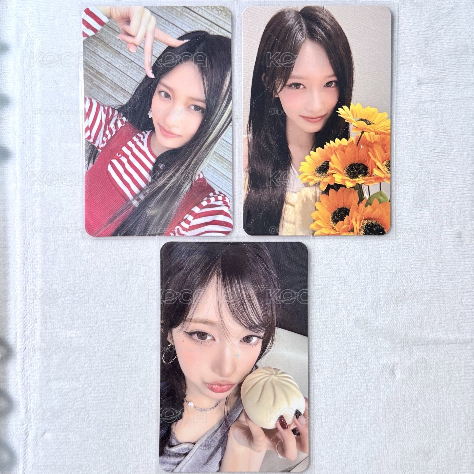 星光卡瑞 1～3🌟