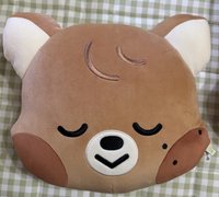 抱枕 無包裝未使用