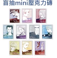 壓克力磚 mini壓克力磚