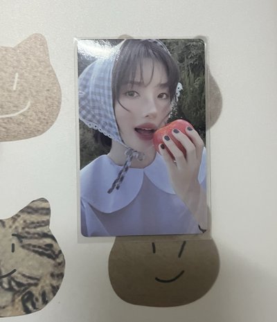 Soyeon 小娟卡