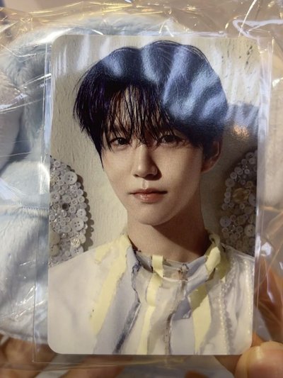 NCT WISH ×711聯名禮盒 小樹卡