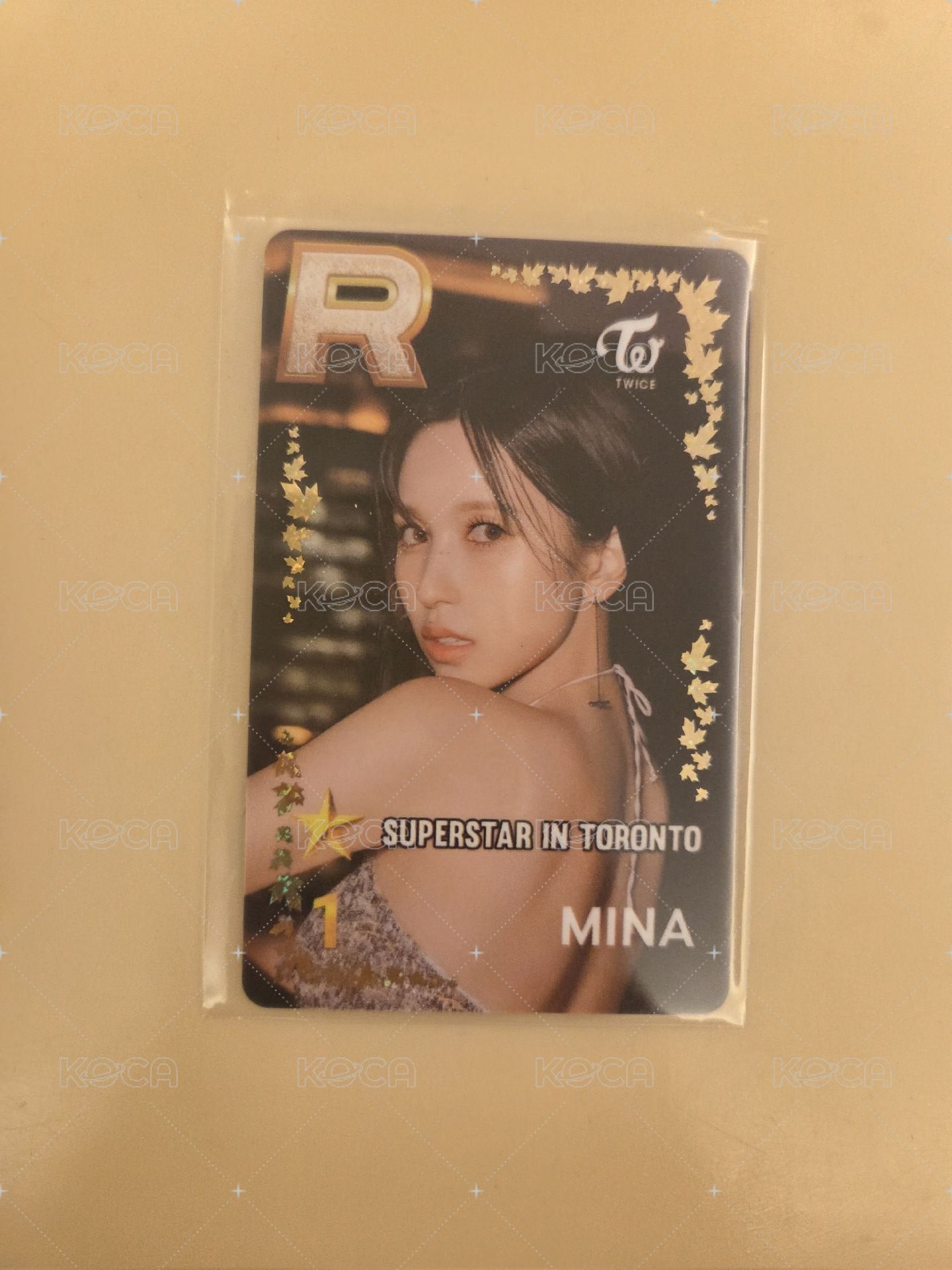 多倫多南遊戲卡🩵