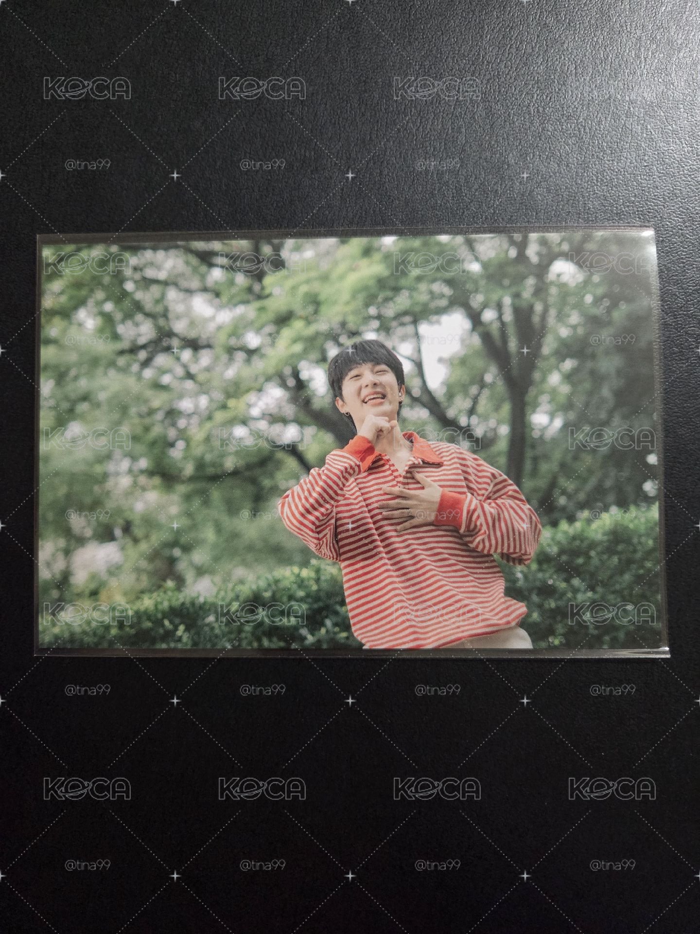 Cutie Pie 明信片