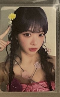 蝦皮採