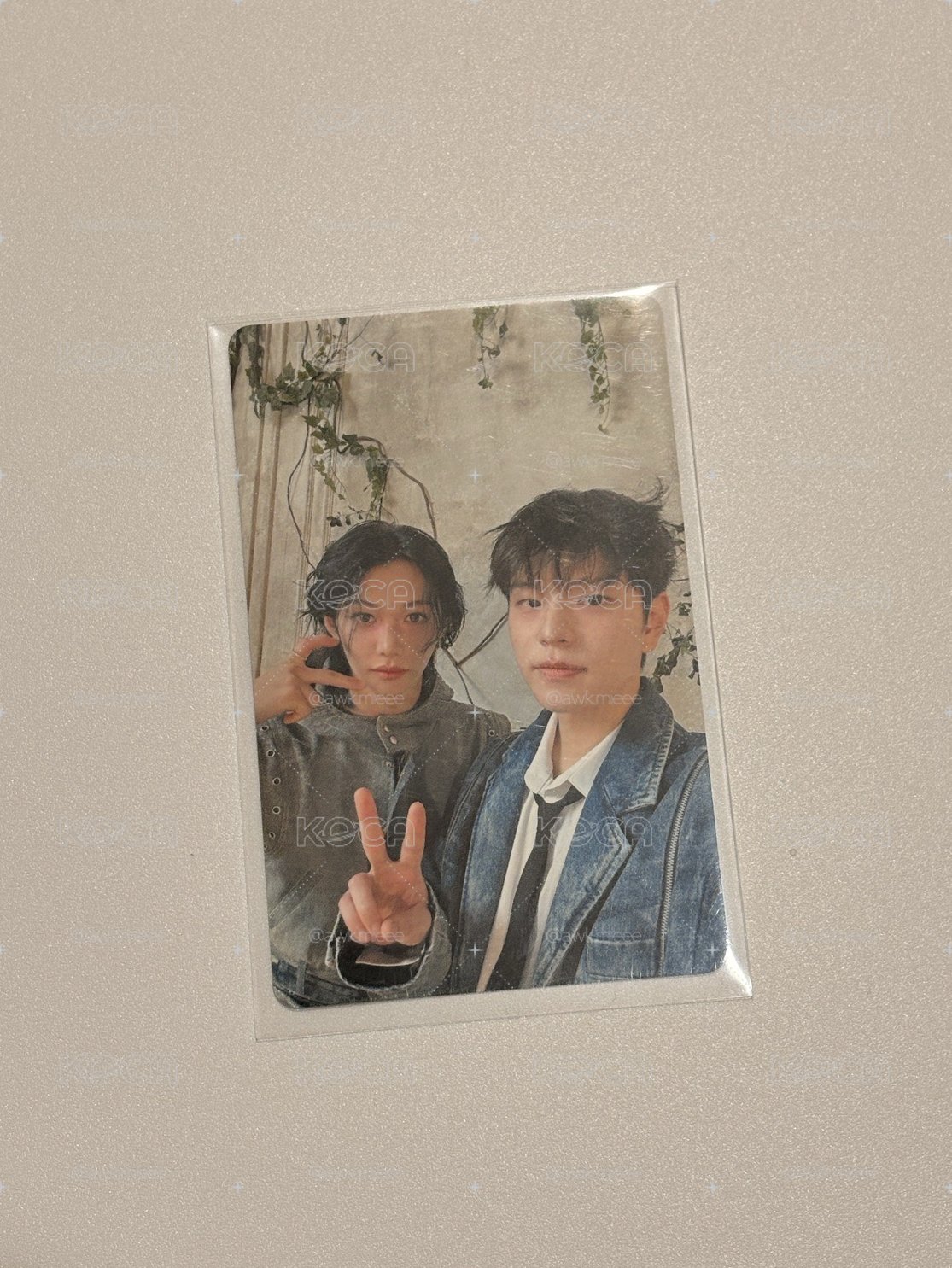 Hollow JYP JAPAN Fanclub 特典卡 - 菲玟