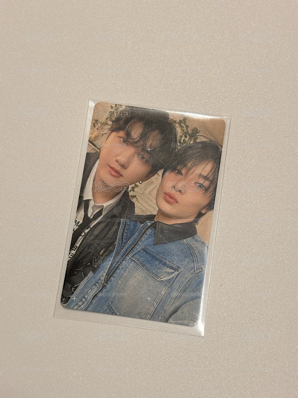 Hollow JYP JAPAN Fanclub 特典卡 - 彬寅
