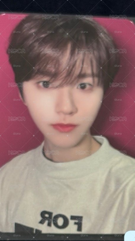 Jaehee小卡