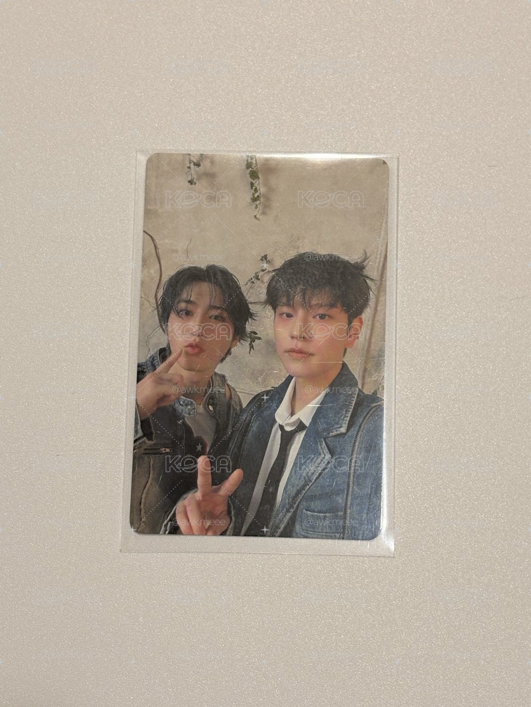 Hollow JYP JAPAN Fanclub 特典卡 - 城玟