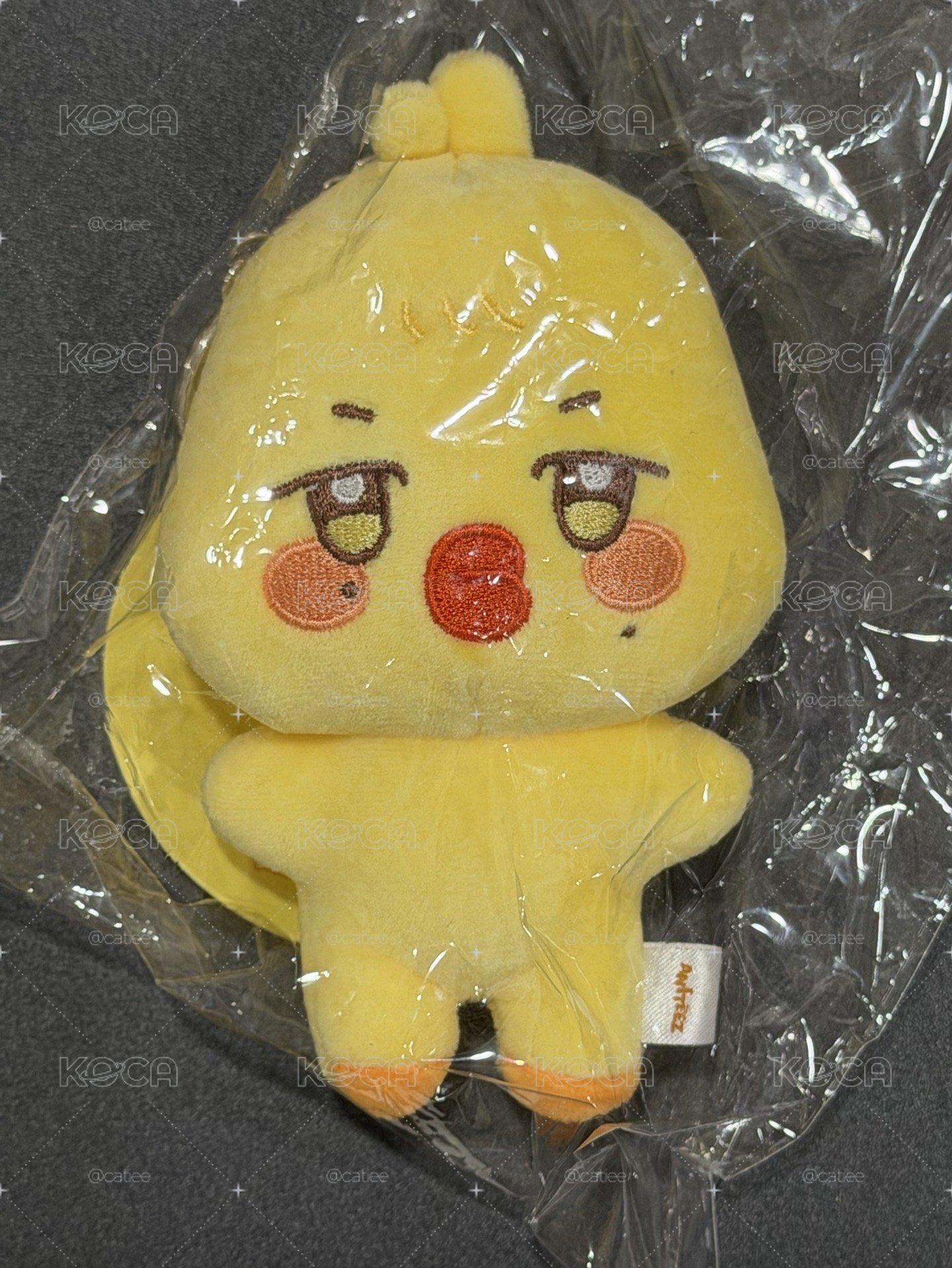 原皮雞