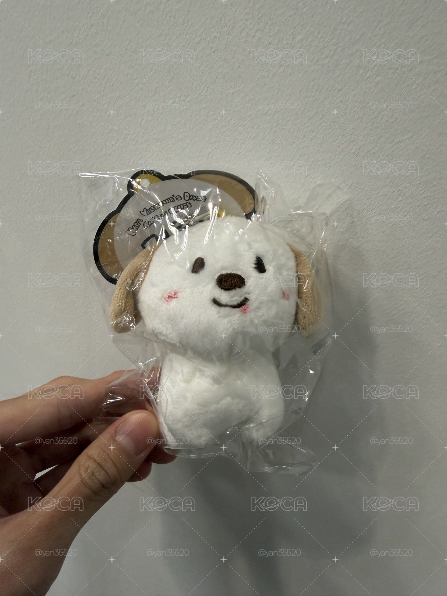 狗龍 情人節娃