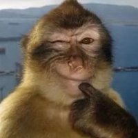 BBNEXDO安排出貨中